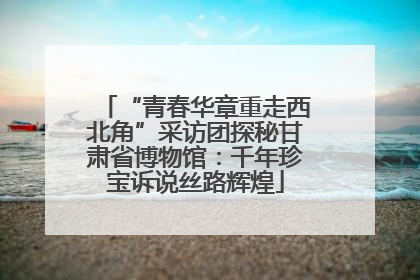 “青春华章重走西北角”采访团探秘甘肃省博物馆：千年珍宝诉说丝路辉煌