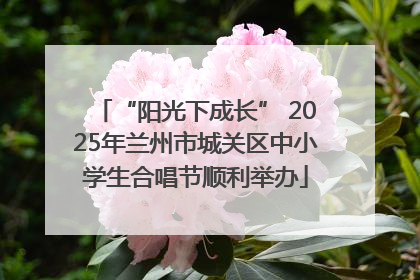 “阳光下成长” 2025年兰州市城关区中小学生合唱节顺利举办