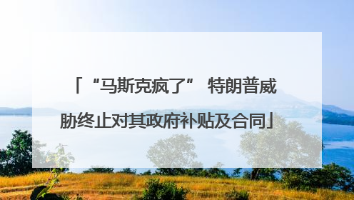 “马斯克疯了” 特朗普威胁终止对其政府补贴及合同