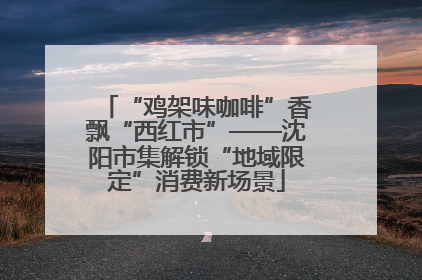 “鸡架味咖啡”香飘“西红市”——沈阳市集解锁“地域限定”消费新场景