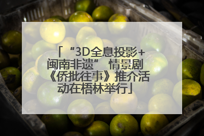“3D全息投影+闽南非遗” 情景剧《侨批往事》推介活动在梧林举行