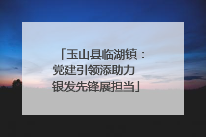玉山县临湖镇：党建引领添助力 银发先锋展担当