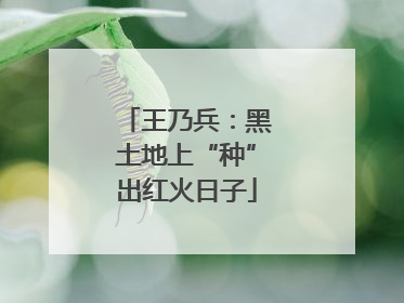 王乃兵：黑土地上“种”出红火日子