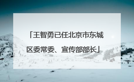 王智勇已任北京市东城区委常委、宣传部部长