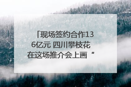 现场签约合作136亿元 四川攀枝花在这场推介会上画“图谱”列“清单”