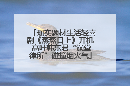 现实题材生活轻喜剧《蒸蒸日上》开机 高叶韩东君“澡堂律所”碰撞烟火气