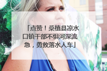 点赞！桑植县凉水口镇干部不惧河深流急，勇救落水人车