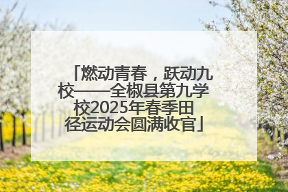 燃动青春，跃动九校——全椒县第九学校2025年春季田径运动会圆满收官
