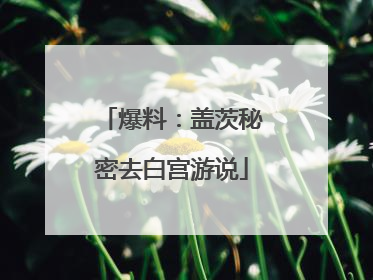 爆料：盖茨秘密去白宫游说