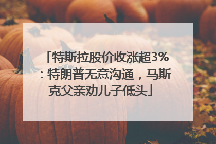 特斯拉股价收涨超3%：特朗普无意沟通，马斯克父亲劝儿子低头