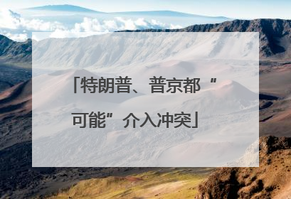 特朗普、普京都“可能”介入冲突