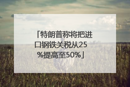 特朗普称将把进口钢铁关税从25%提高至50%