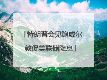特朗普会见鲍威尔 敦促美联储降息
