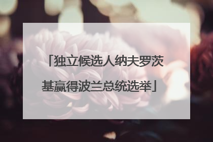 独立候选人纳夫罗茨基赢得波兰总统选举