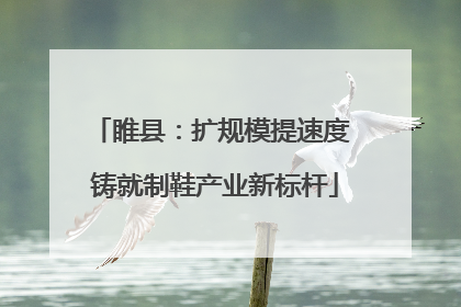 睢县：扩规模提速度 铸就制鞋产业新标杆