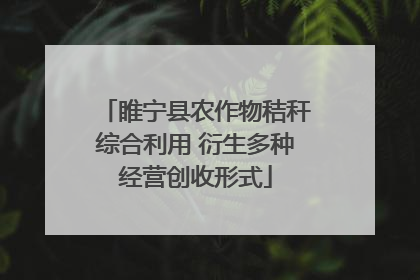 睢宁县农作物秸秆综合利用 衍生多种经营创收形式