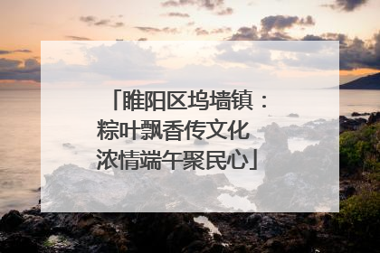 睢阳区坞墙镇：粽叶飘香传文化 浓情端午聚民心