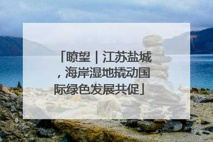 瞭望｜江苏盐城，海岸湿地撬动国际绿色发展共促