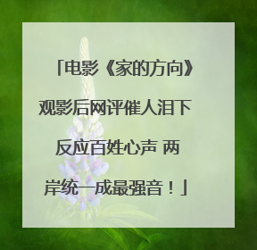 电影《家的方向》观影后网评催人泪下 反应百姓心声 两岸统一成最强音！