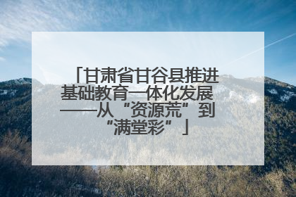 甘肃省甘谷县推进基础教育一体化发展——从“资源荒”到“满堂彩”
