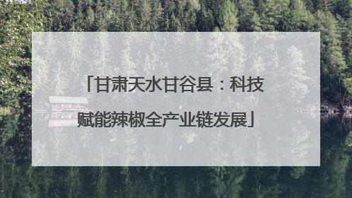 甘肃天水甘谷县：科技赋能辣椒全产业链发展