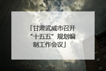 甘肃武威市召开“十五五”规划编制工作会议