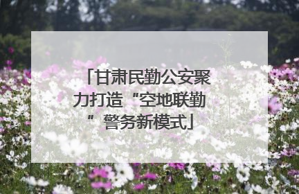 甘肃民勤公安聚力打造“空地联勤”警务新模式