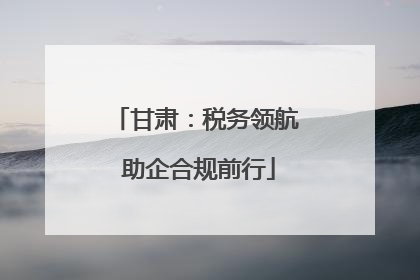 甘肃：税务领航 助企合规前行