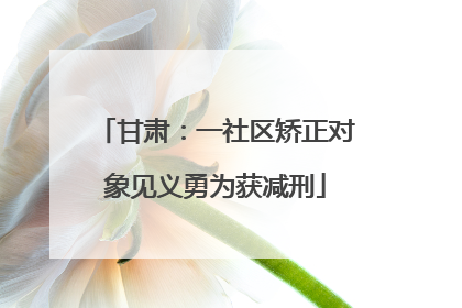 甘肃：一社区矫正对象见义勇为获减刑