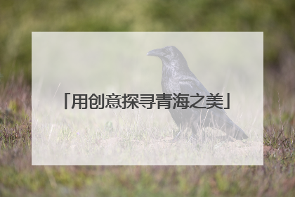 用创意探寻青海之美