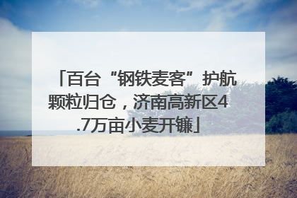 百台“钢铁麦客”护航颗粒归仓，济南高新区4.7万亩小麦开镰