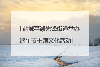 盐城亭湖先锋街道举办端午节主题文化活动