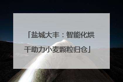 盐城大丰：智能化烘干助力小麦颗粒归仓