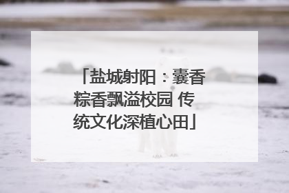 盐城射阳：囊香粽香飘溢校园 传统文化深植心田