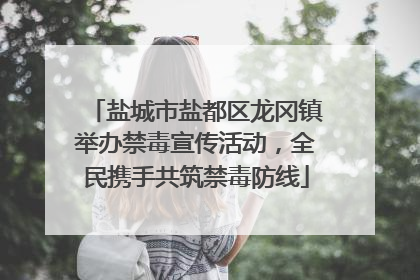 盐城市盐都区龙冈镇举办禁毒宣传活动，全民携手共筑禁毒防线