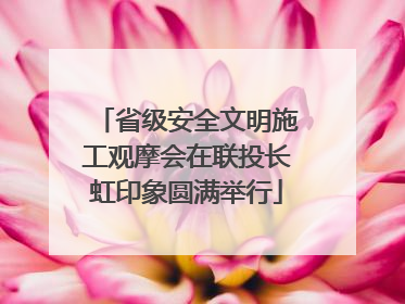 省级安全文明施工观摩会在联投长虹印象圆满举行