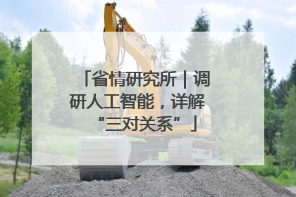 省情研究所｜调研人工智能，详解“三对关系”