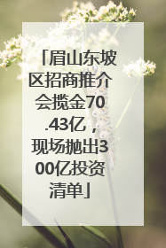 眉山东坡区招商推介会揽金70.43亿，现场抛出300亿投资清单