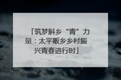 筑梦斛乡“青”力量：太平畈乡乡村振兴青春进行时