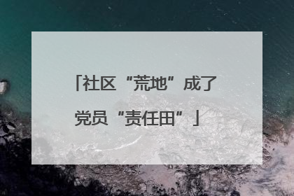 社区“荒地”成了党员“责任田”