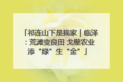 祁连山下是我家｜临泽：荒滩变良田 戈壁农业添“绿”生“金”