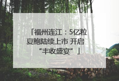 福州连江：5亿粒夏鲍陆续上市 开启“丰收盛宴”