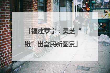 福建泰宁：灵芝“链”出富民新图景
