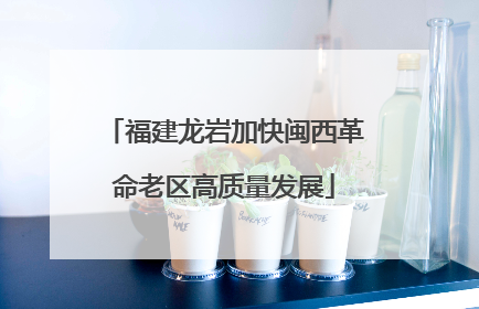 福建龙岩加快闽西革命老区高质量发展
