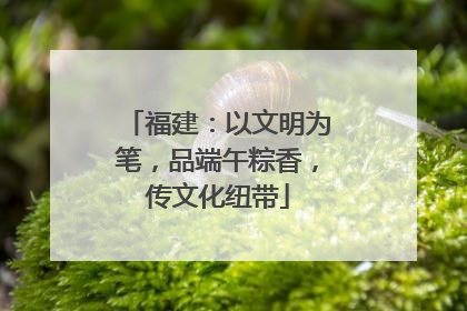 福建：以文明为笔，品端午粽香，传文化纽带