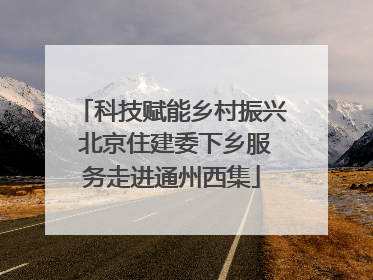 科技赋能乡村振兴 北京住建委下乡服务走进通州西集