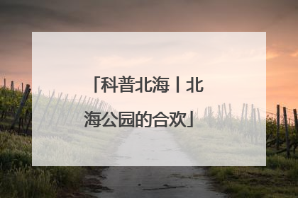 科普北海丨北海公园的合欢