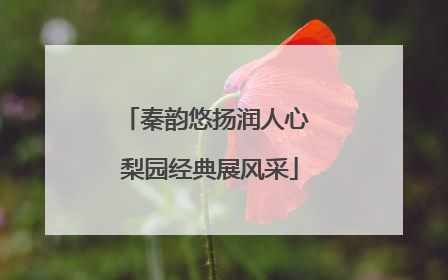 秦韵悠扬润人心 梨园经典展风采