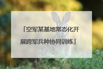 空军某基地常态化开展跨军兵种协同训练