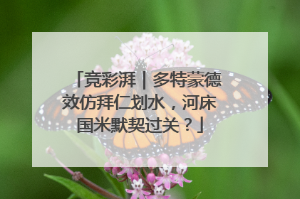 竞彩湃｜多特蒙德效仿拜仁划水，河床国米默契过关？